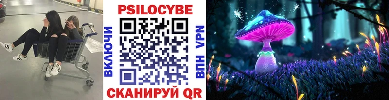 Галлюциногенные грибы GOLDEN TEACHER  площадка как зайти  Кущёвская  даркнет сайт 